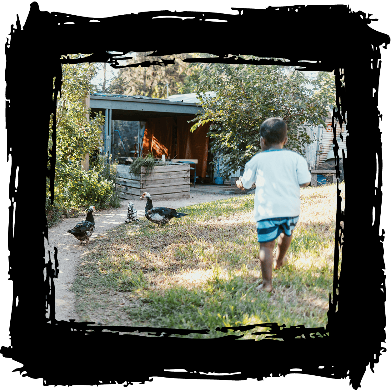 Venny Community Food Program Child running towards ducks at The Venny community farm.