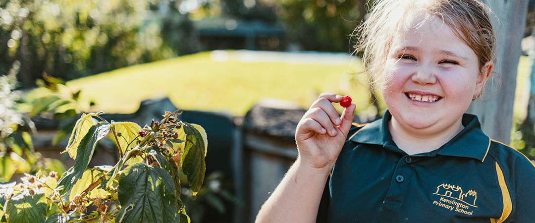 Venny vegetable garden with happy girl holding a cherry.